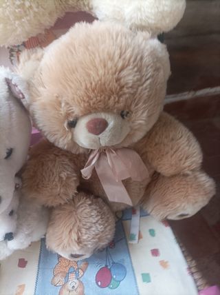 Peluches de ositos son 5 peluches