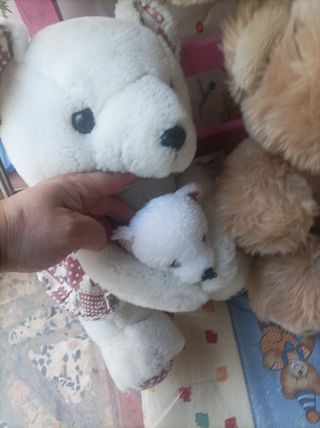 Peluches de ositos son 5 peluches