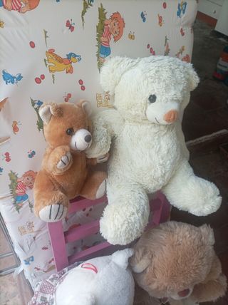 Peluches de ositos son 5 peluches