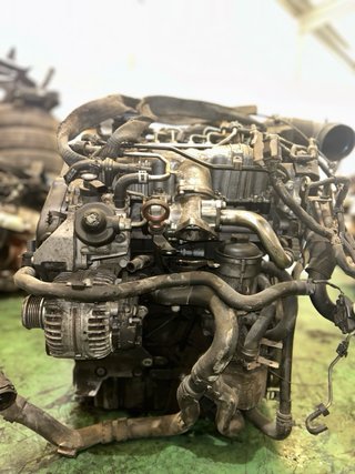 MOTOR | 2.0 TDI CBD 110CV