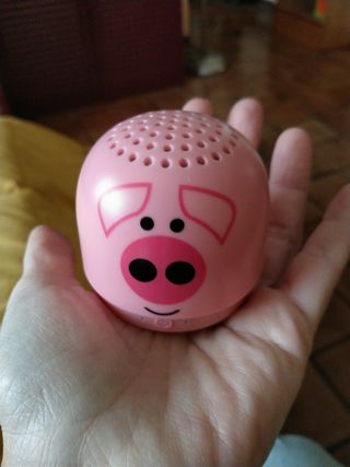 Altoparlante Bluetooth 