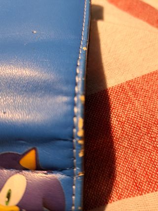 Custodia Sonic per Ds Lite