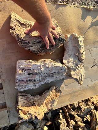 Leña yecla para barbacoas y estufas