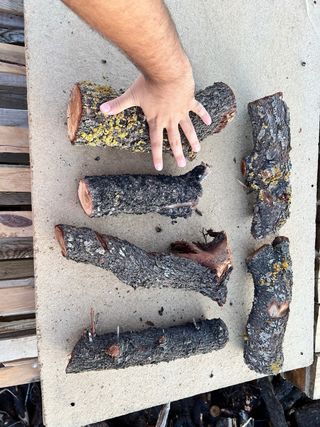 Leña yecla para barbacoas y estufas