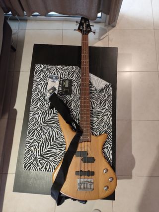 Washburn Taurus T14