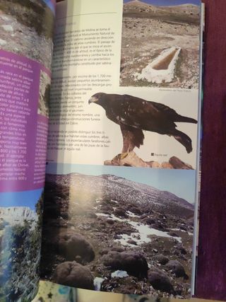 Guia oficial natural sierra maría -los v