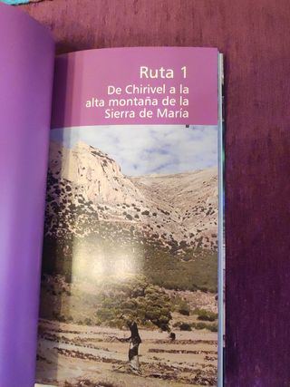 Guia oficial natural sierra maría -los v