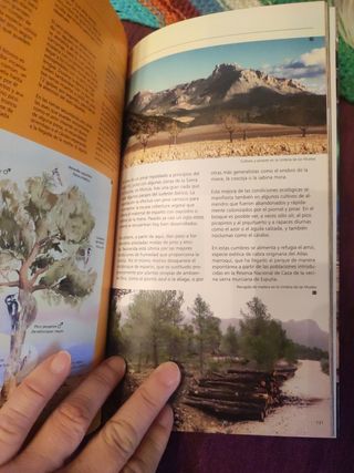 Guia oficial natural sierra maría -los v