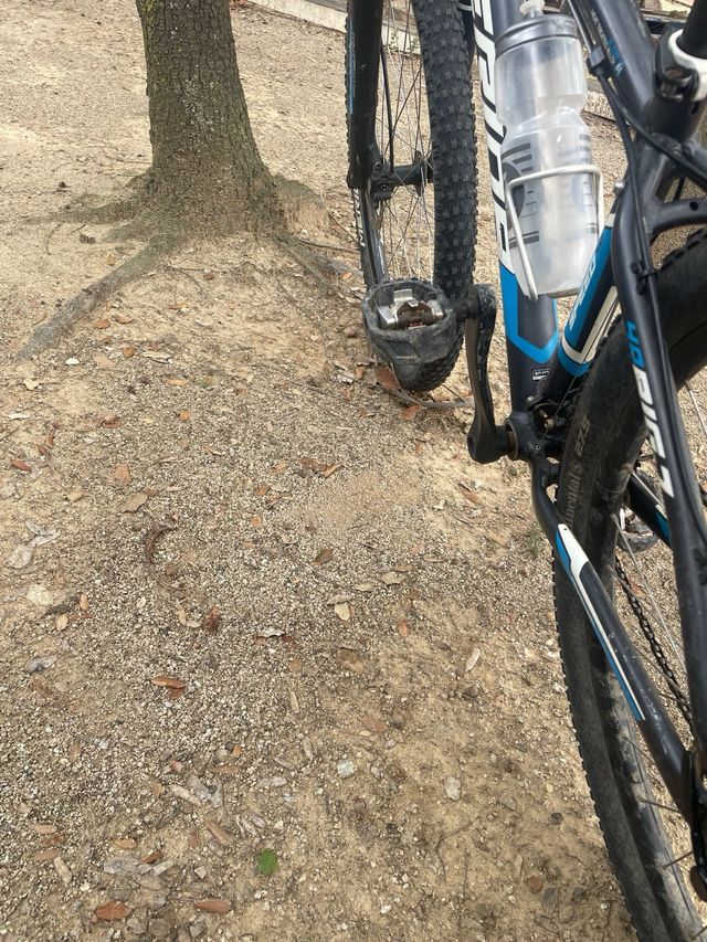 Bicileta niño (merida) (talla en fotos)!