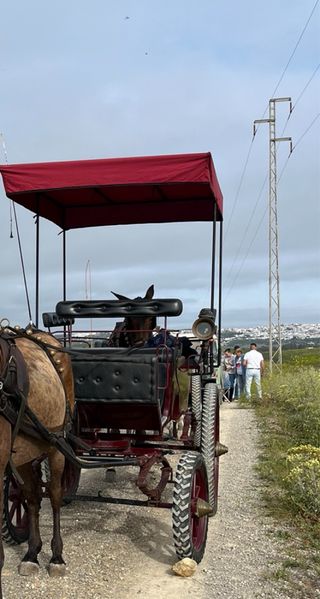 Coche de caballo/ jardinera