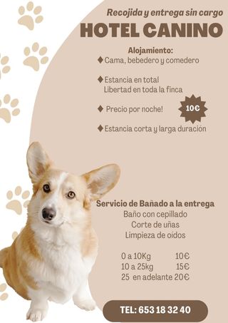 Peluquería canina, baño, corte de uñas, secado