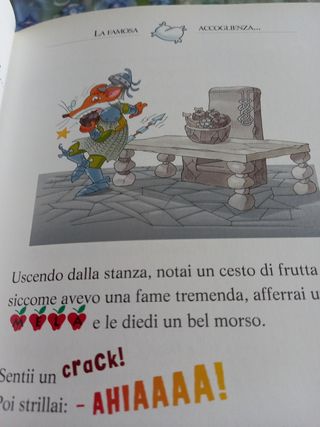 Libro-quarto viaggio fantasia