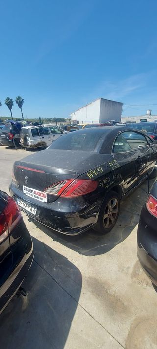 DESPIECE COMPLETO PEUGEOT 307 CC 2006 1.6 GASOLINA
