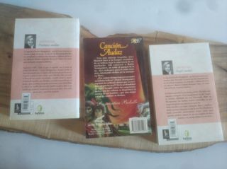 Pack novelas Jude Deveraux