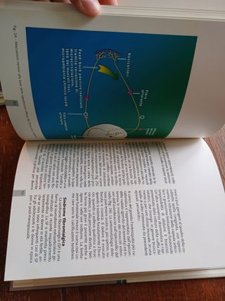 Il dolore in reumatologia