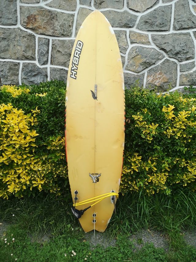 Tabla surf fish + funda