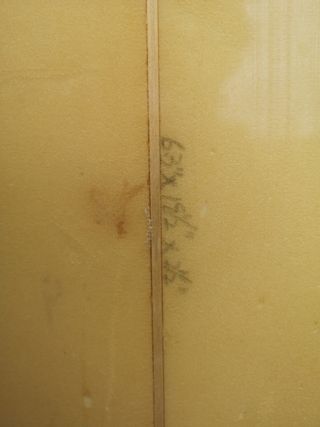 Tabla surf fish + funda