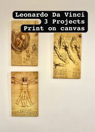 Quadro leonardo da vinci projects