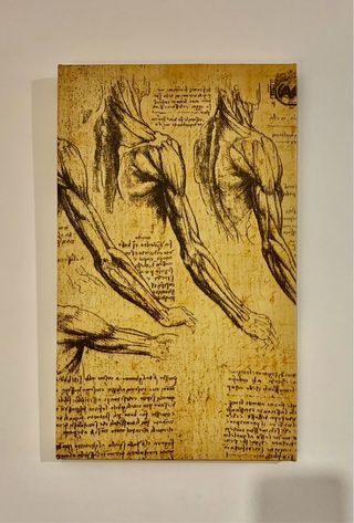 Quadro leonardo da vinci projects