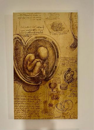 Quadro leonardo da vinci projects