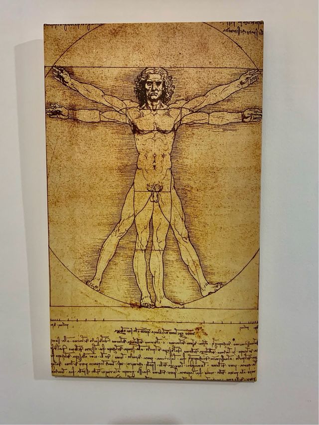 Quadro leonardo da vinci projects