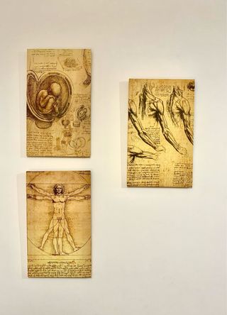 Quadro leonardo da vinci projects