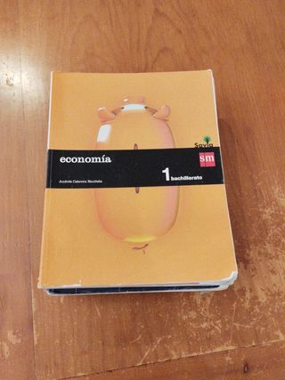 Libro de economía