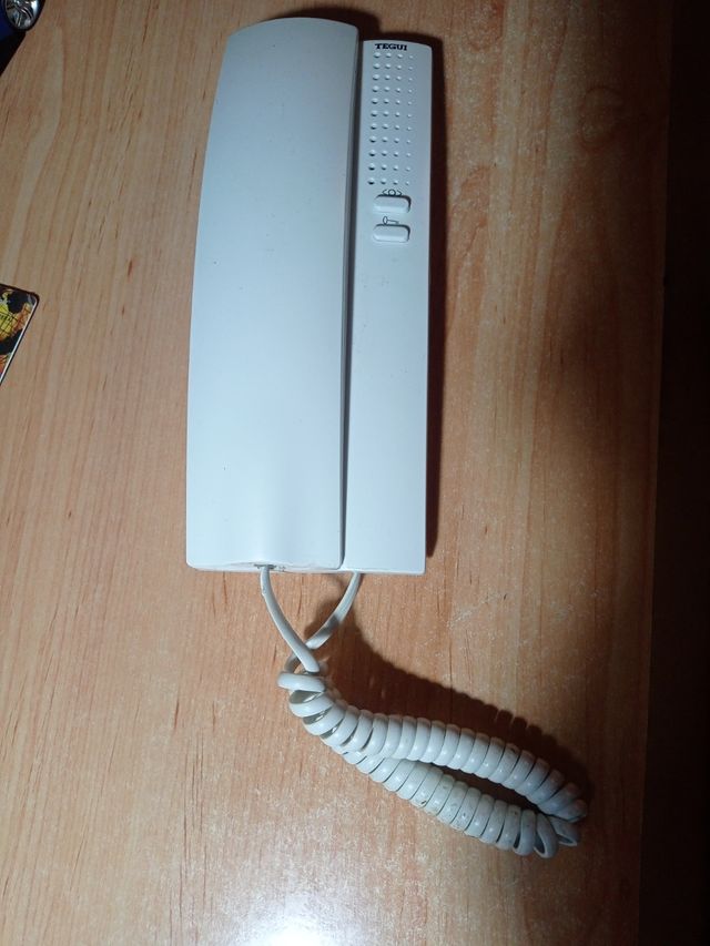 Portero automático Tegui 