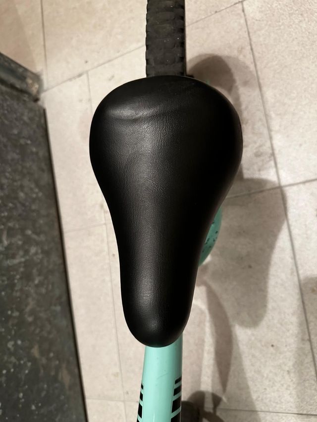 Bicicleta de equilibrio niños