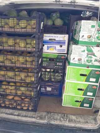 Transportes y Mudanzas