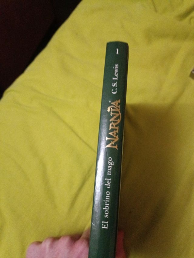 Las Crónicas de Narnia.