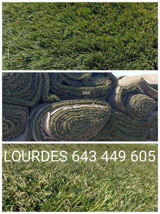 ‼️ césped artificial reciclado ‼️