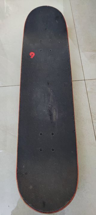 Monopatín birdhouse