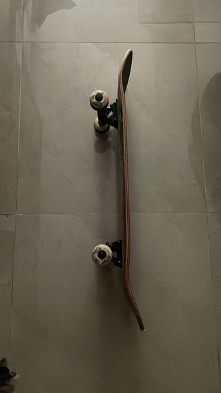 Monopatín birdhouse