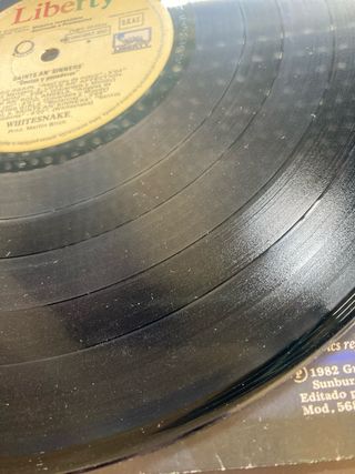 Whitesnake Santos y Pecadores LP