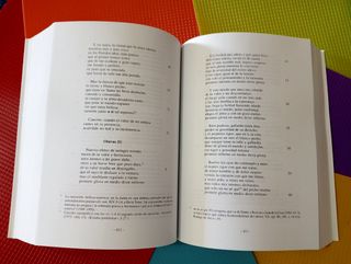 Vicente Espinel. Obras completas II.