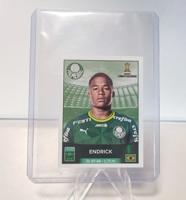 ENDRICK LIBERTADORES 2023