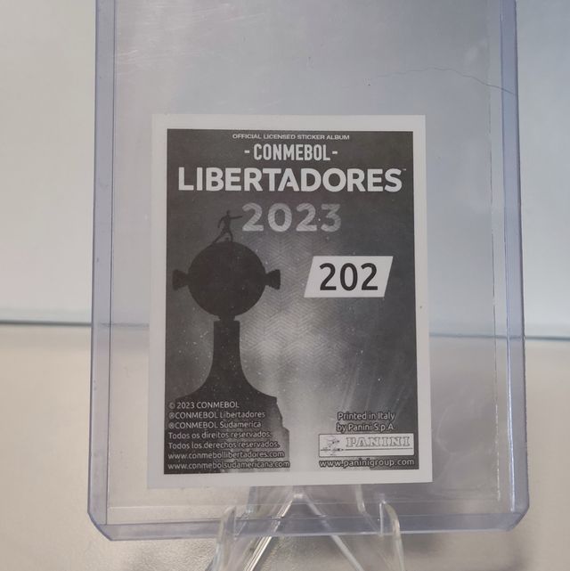 ENDRICK LIBERTADORES 2023