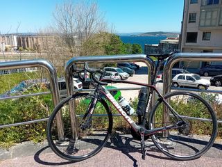 Bianchi infinito cv 2017