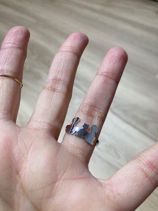 Anillo mascotas. Perfil solidario