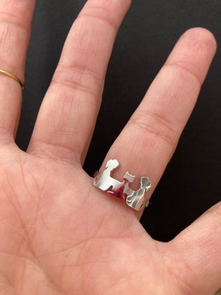 Anillo mascotas. Perfil solidario