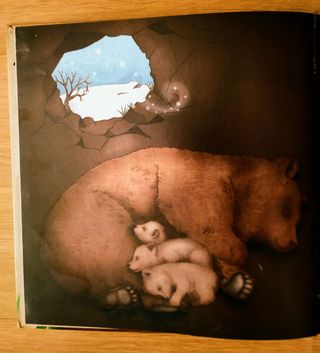 Libro ilustrado: El retorno de Villarina