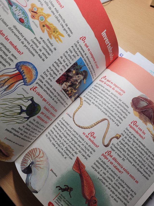 El gran libro de el porque de las cosas