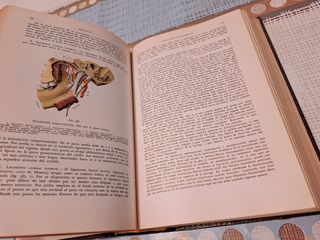 Libro Tratado de Anatomía Humana TOMO I