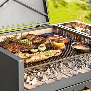 Barbacoa con techo Delta