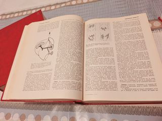 Medicina Interna FARRERAS ROZMAN Tomos I/II