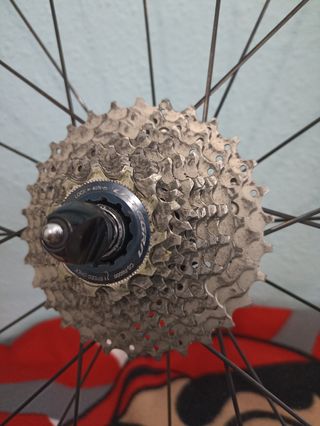 Ruedas carbono delantera y trasera.