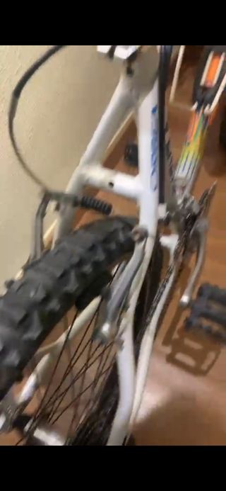 Bici orbea veneto