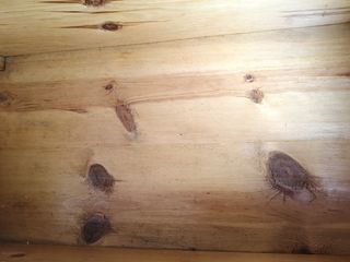 Baúl  de madera maciza URGE VENDER