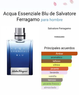 Acqua Essenziale Blu 100ML de Salvatore Ferragamo